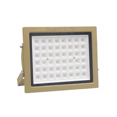 华荣 100W 国标 LED 防爆灯